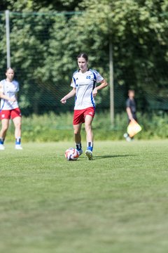 Bild 306 - wBJ Hamburger SV - VfL Wolfsburg : Ergebnis: 5:1